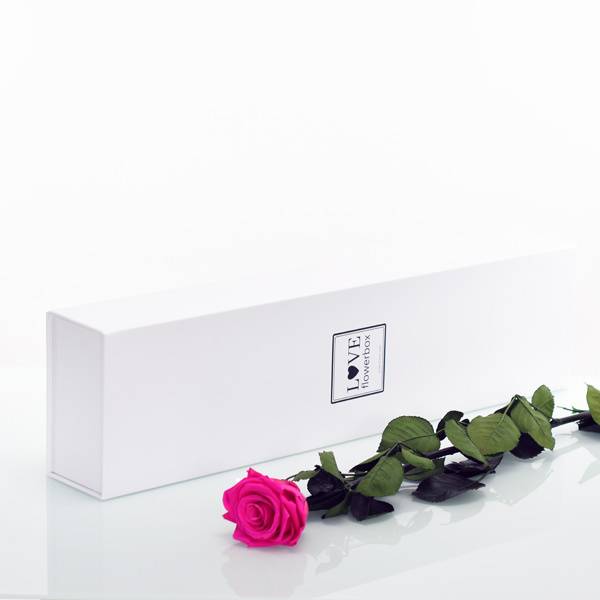 Flowerbox Lang | Classic | Rosen Hot Pink (Pink)