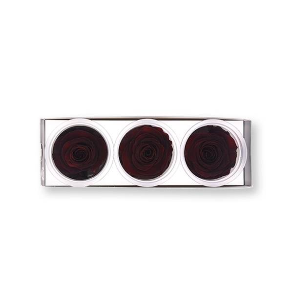 Rosen konserviert | burgundy | 6cm | 3er Pack