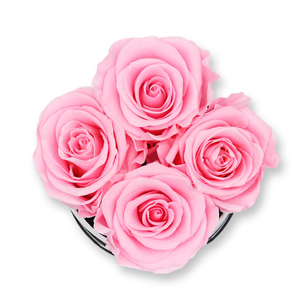 Rosenbox Infinity Rosen rosa | Flowerbox | Blumenbox | S Modern w gold