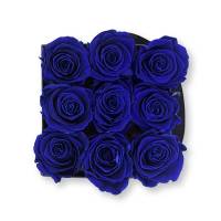 Flowerbox Modern | Medium | Rosen Dark Blue (Dunkelblau)