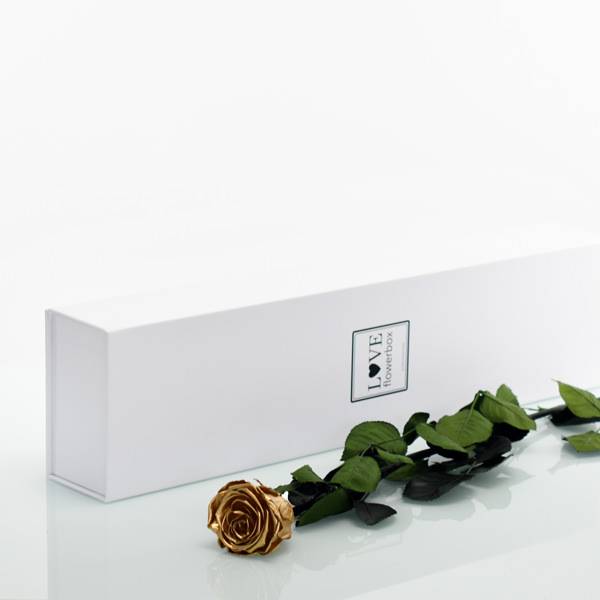 Flowerbox Lang | Classic | Rosen Gold