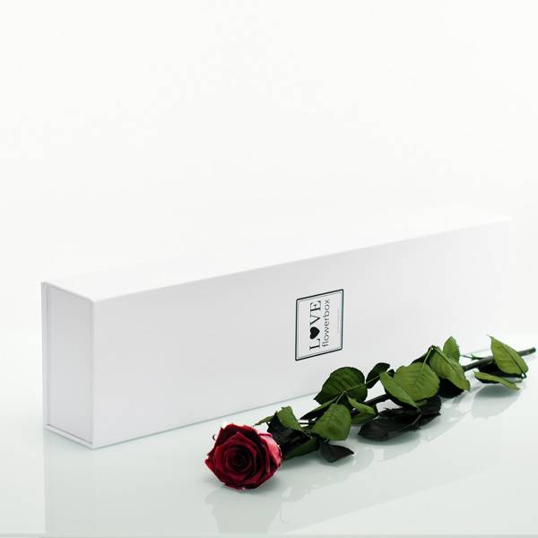 Flowerbox Lang | Classic | Rosen Burgundy (Bordeaux)