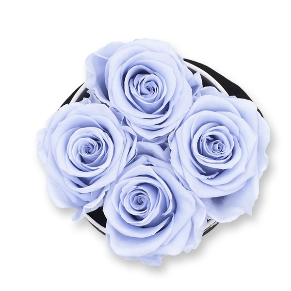 Rosenbox Infinity Rosen lavendel | Flowerbox | Blumenbox | S Modern white