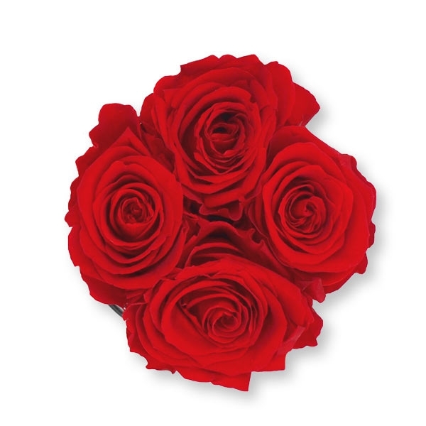 Rosenbox Infinity Rosen rot | Flowerbox | Blumenbox | S Modern black