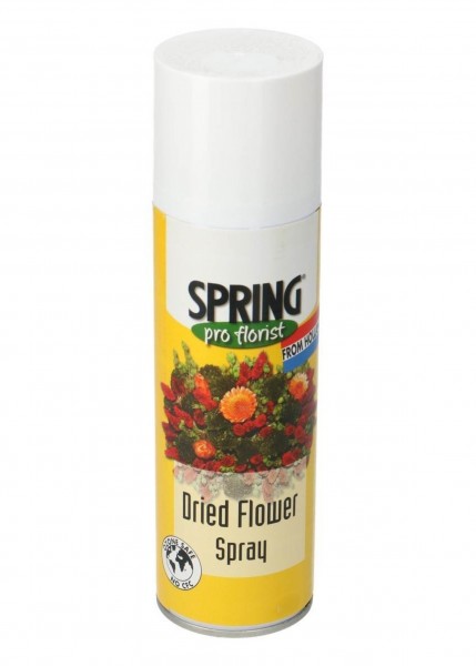 Trockenblumen Spray  