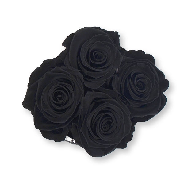 Modern | Small | Black (Schwarz)