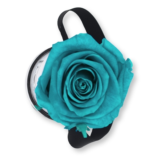 Rosenbox Infinity Rosen türkis | Flowerbox | Blumenbox | XS Modern white