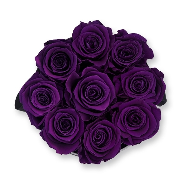 Rosenbox Infinity Rosen dunkel lila | Flowerbox | Blumenbox | M Modern white