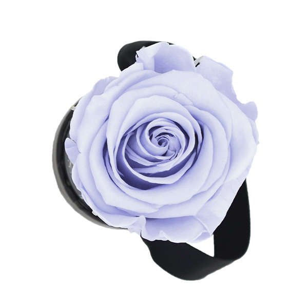 Rosenbox Infinity Rosen lavendel | Flowerbox | Blumenbox | XS Modern w gold