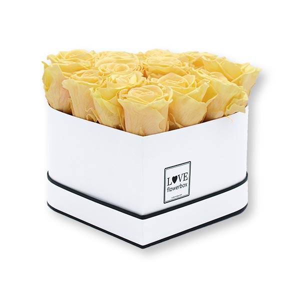 Rosenbox Herz Infinity Rosen aprikot | Flowerbox Herzbox | M white