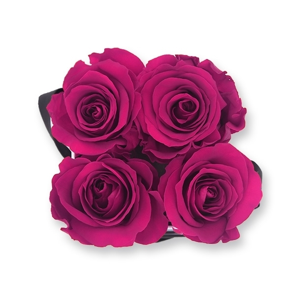 Rosenbox Infinity Rosen himbeere | Flowerbox eckig | S Modern black
