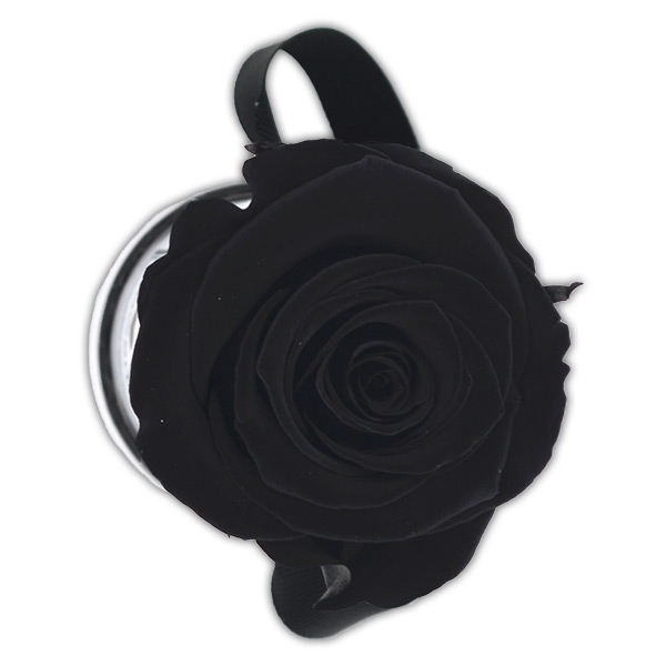Rosenbox Infinity Rosen schwarz | Flowerbox | Blumenbox | XS Modern white