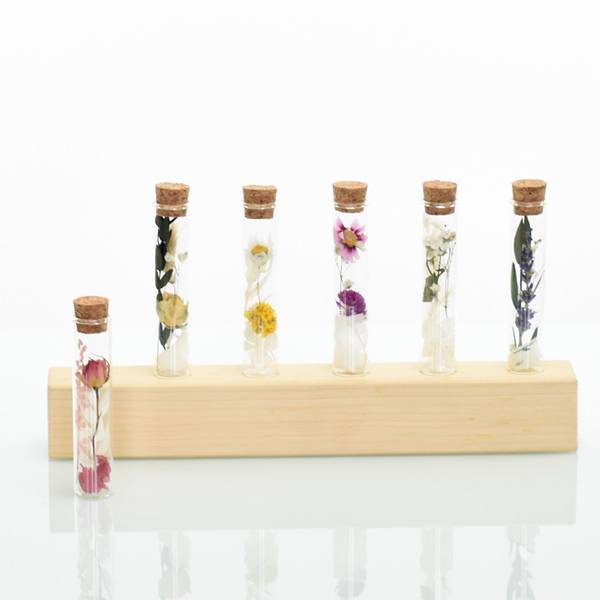 Gastgeschenk Trockenblumen Reagenzglas |  weiss-rosa-altrosa (5er-Set) | Gastgeschenk Trockenblumen Hochzeit | Ruskus, Rose, Hortensie