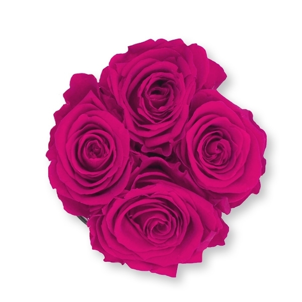 Rosenbox Infinity Rosen himbeere | Flowerbox | Blumenbox | S Modern black