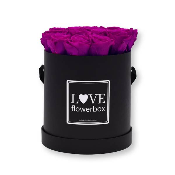 Flowerbox Modern | Large | Rosen Purpur (Lila)