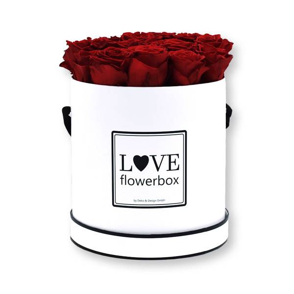 Flowerbox_rosenbox_blumenbox_rund_Large_weiss_Infinity_Rosen_burgundy_bordeaux.jpg