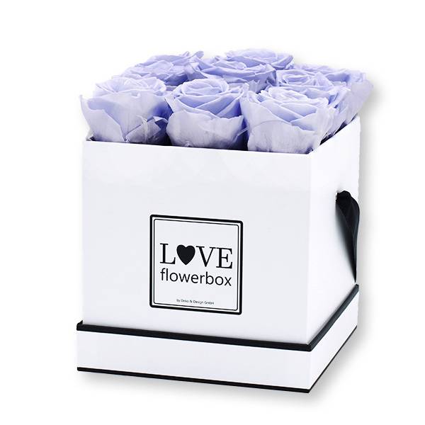 Flowerbox Modern | Medium | Rosen Cool Lavender (Eisblau)