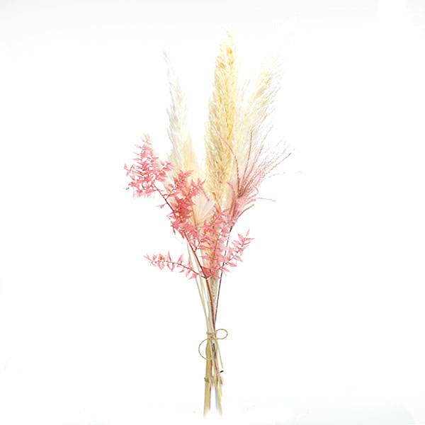 Trockenblumen Mix | Set | Zartliebe | Trockenblumen weiss-rosa-pastell | Zebragras gebleicht, Ruskus, Palmspear 2