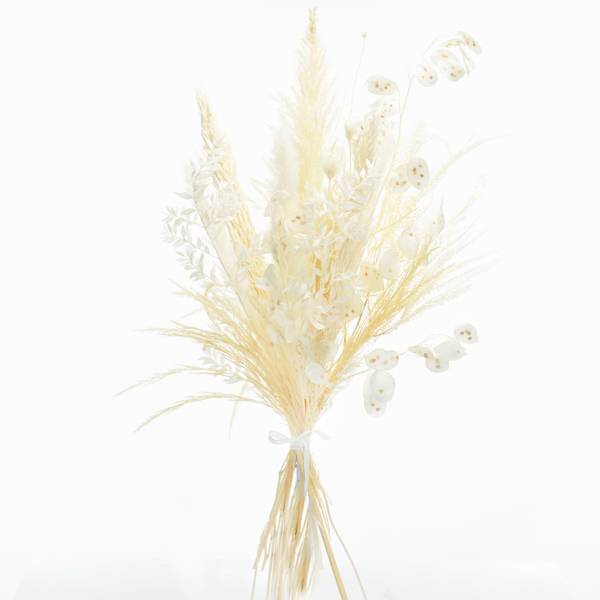 Trockenblumenstrauß Weisse Eleganz L | Trockenblumen weiss-ivory | Pampasgras, Ruskus, Lunaria