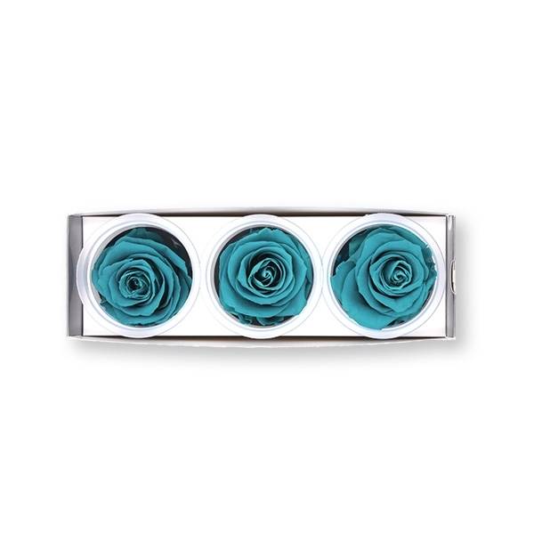 Rosen konserviert | aqua | 6cm | 3er Pack