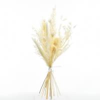 Trockenblumenstrauß Weisse Eleganz M | Trockenblumen weiss-ivory | Pampasgras, Ruskus, Lunaria Trockenblumenstrauß Weisse Eleganz M | Trockenblumen weiss-ivory | Pampasgras, Ruskus, Lunaria