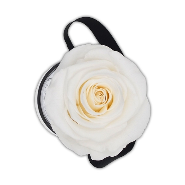 Rosenbox Infinity Rosen weiss | Flowerbox | Blumenbox | Mini Modern white