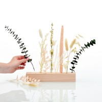 Trockenblumen | Blütenleiste | Pastellmoment | pastell-natur-grün