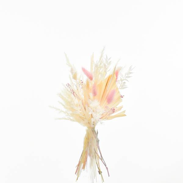 Trockenblumenstrauß Zartliebe S | weiss-ivory-natur-rosa | Pampas, Luffa, Lagurus