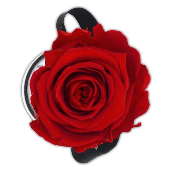 Rosenbox Infinity Rosen rot | Flowerbox | Blumenbox | XS Modern white