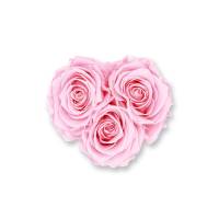 Rosenbox Herz Infinity Rose rosa | Flowerbox Herzbox | XS white gold