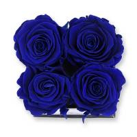 Flowerbox Modern | Small | Rosen Dark Blue (Dunkelblau)