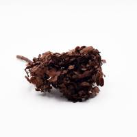 Trockenblume Hortensie getrocknet kaufen | Braun | 1 Kopf Trockenblume Hortensie getrocknet kaufen | Braun | 1 Kopf