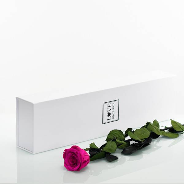 Flowerbox Lang | Classic | Rosen Raspberry (Himbeere)