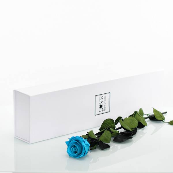 Flowerbox Lang | Classic | Rosen aqua
