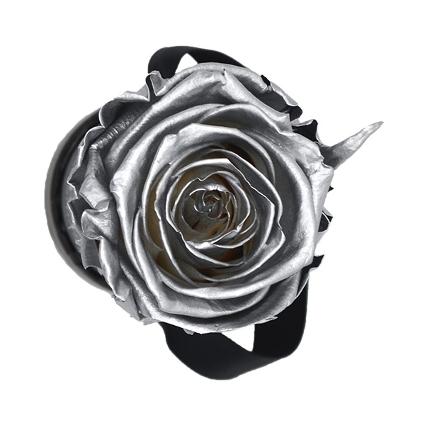 Modern | Mini | Silver (Silber)