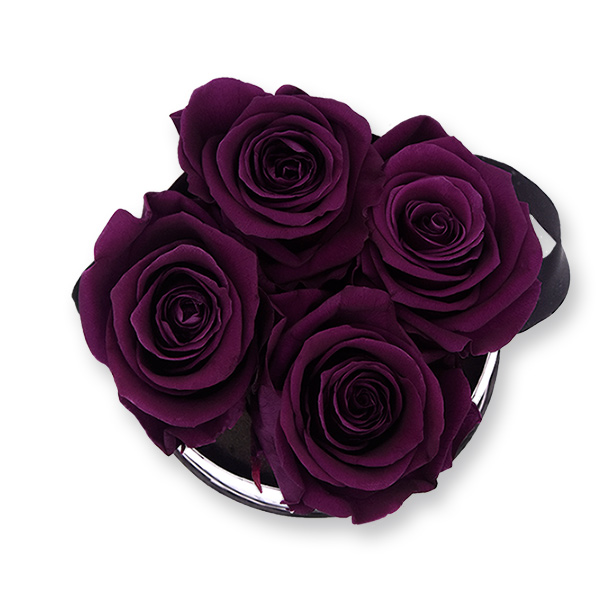 Rosenbox Infinity Rosen dunkel lila | Flowerbox | Blumenbox | S Modern b gold