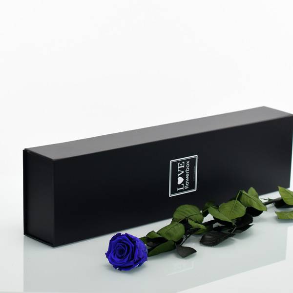 Flowerbox Lang | Classic | Rosen Dark Blue (Dunkelblau)