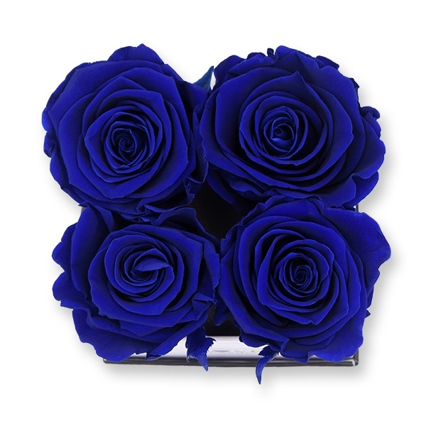 Rosenbox Infinity Rosen dunkel blau | Flowerbox eckig | S Modern white