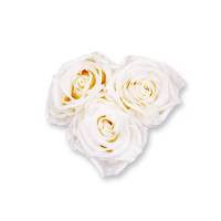 Rosenbox Herz Infinity Rosen weiss | Flowerbox Herzbox | XS white gold