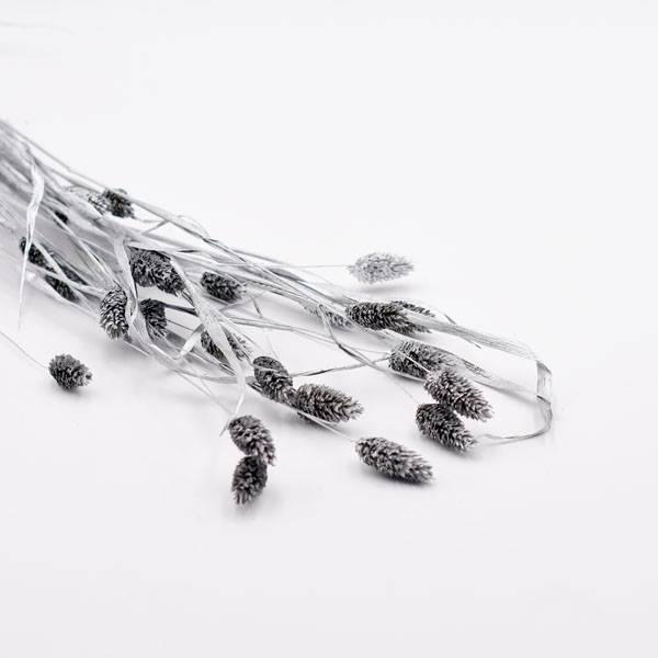 Love_dried_flowers_Trockenblumen_getrocknete_Blumen_Phalaris_silber_25_Stiele.jpg