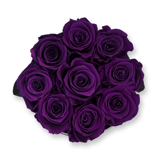 Rosenbox Infinity Rosen dunkel lila | Flowerbox | Blumenbox | M Modern black