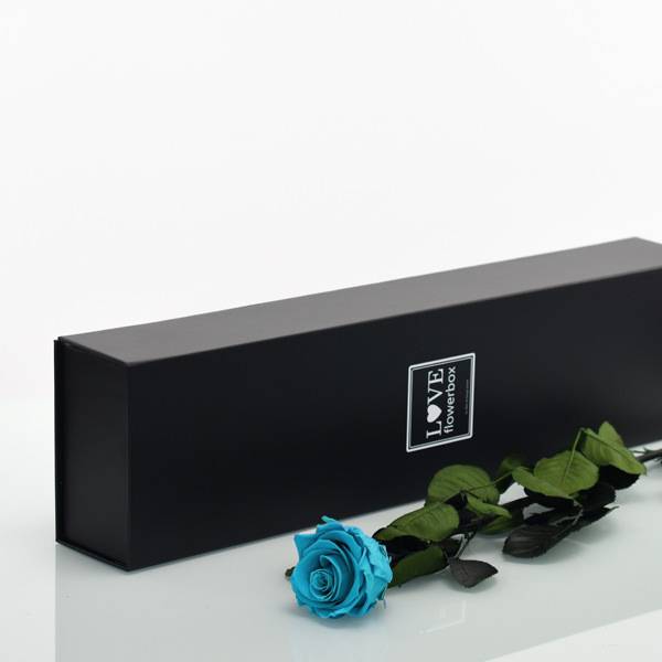 Flowerbox Lang | Classic | Rosen Aqua