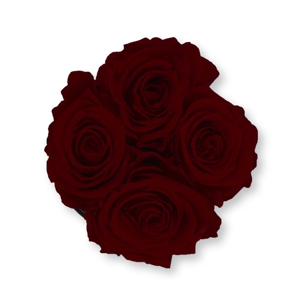 Rosenbox Infinity Rosen bordeaux | Flowerbox | Blumenbox | S Modern black