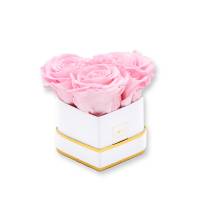 Rosenbox Herz Infinity Rose rosa | Flowerbox Herzbox | XS white gold Rosenbox Herz Infinity Rose rosa | Flowerbox Herzbox | XS white gold
