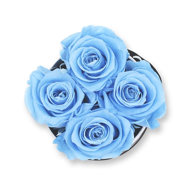 Rosenbox Infinity Rosen hell blau | Flowerbox | Blumenbox | S Modern black