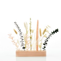 Trockenblumen | Blütenleiste | Pastellmoment | pastell-natur-grün Trockenblumen | Blütenleiste | Pastellmoment | pastell-natur-grün