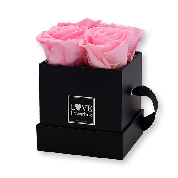Flowerbox Modern | Small | Rosen Bridal Pink (Hellrosa)