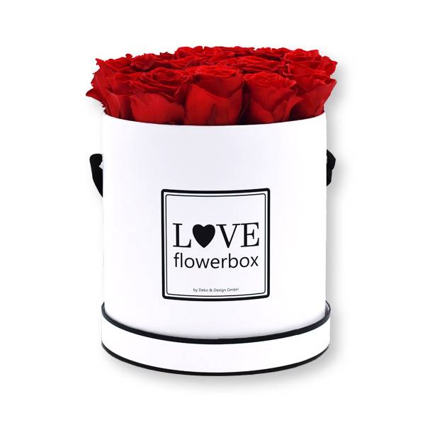 Flowerbox_rosenbox_blumenbox_rund_Large_weiss_Infinity_Rosen_vibrantred_rot.jpg