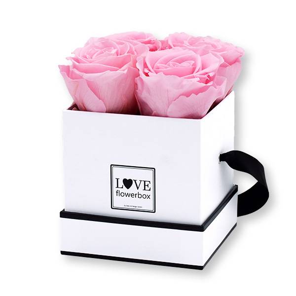 Flowerbox Modern | Small | Rosen Bridal Pink (Hellrosa)